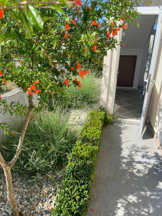 Apartman Danijela Βόντιτσε Εξωτερικό φωτογραφία